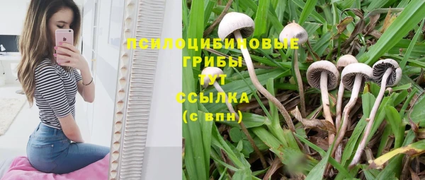 mdma Верхний Тагил